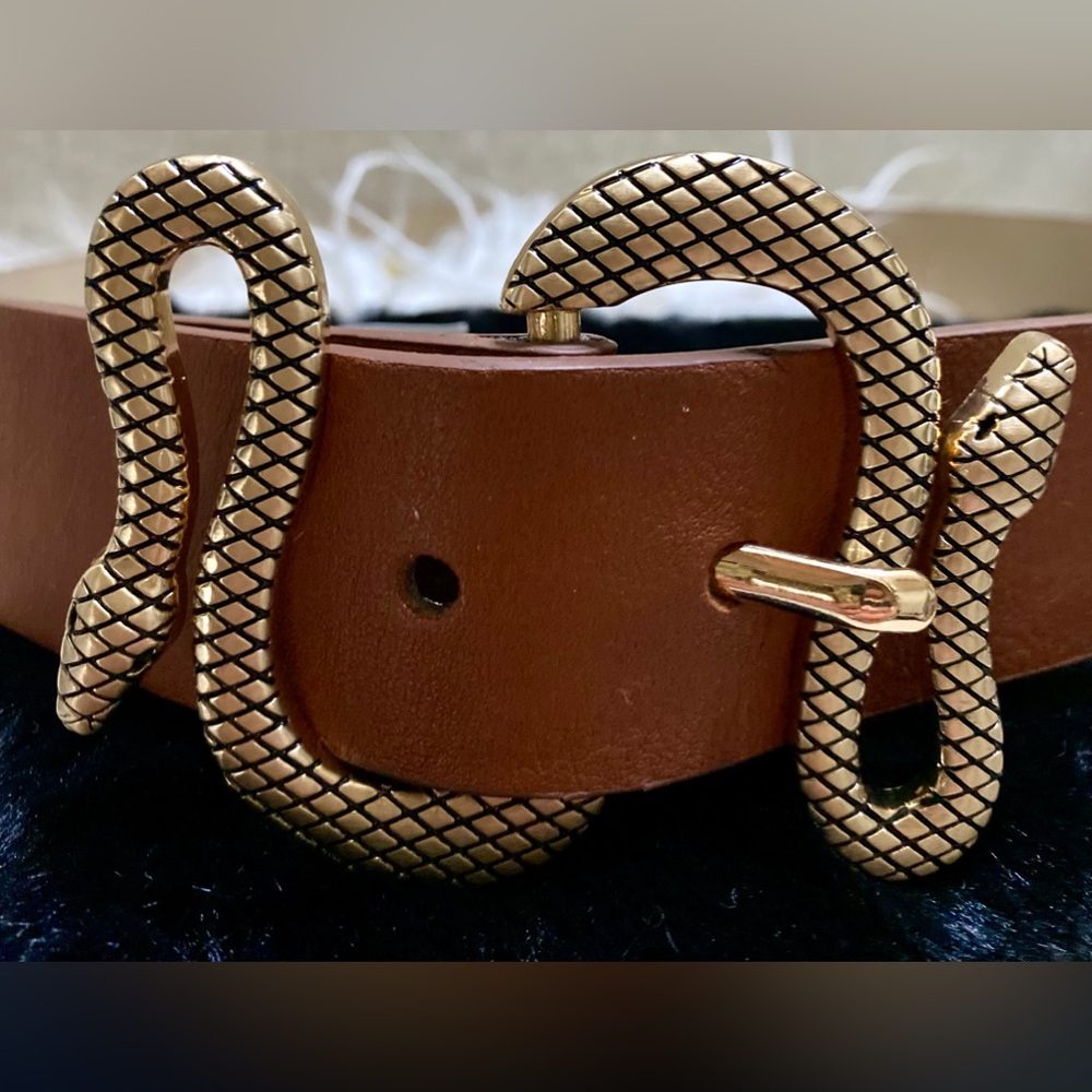 Express Brown and Gold Belt with Intricate Buckle